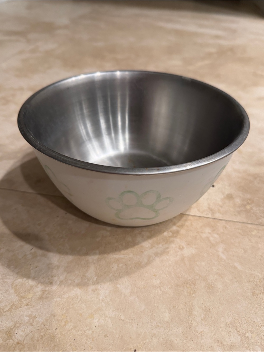 Stainless Steel Pet Bowl with White Exterior and Mint Paw Print